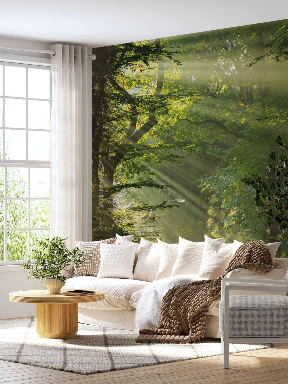 Solstrålar genom träden