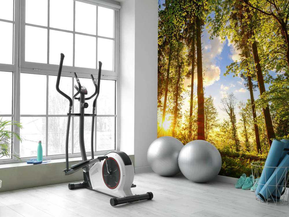 Solnedgång genom träden