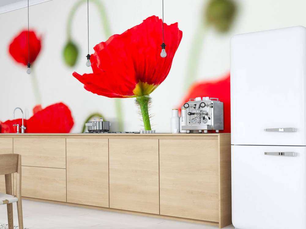 Närbild av röda vallmor