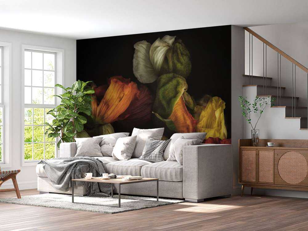 Sammansatta knoppande vallmoar