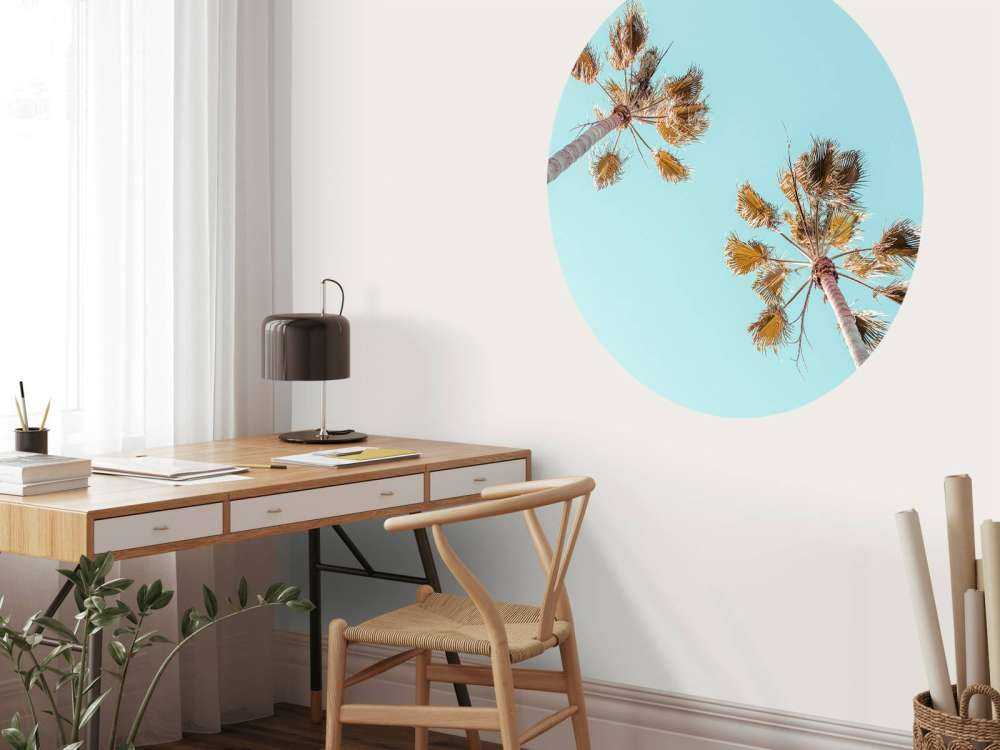 Palmer med blå himmel