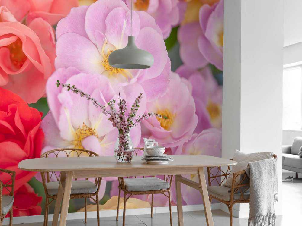 Färgglada blommor