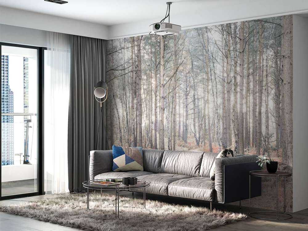 Sandväg genom skogen