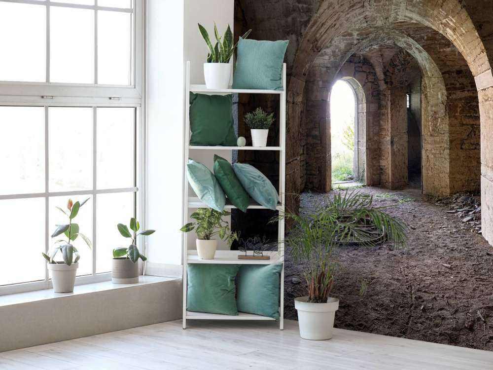 Old Cellar