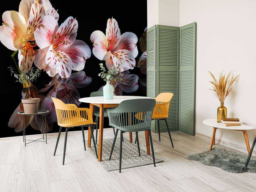 Alstroemeria blommar med reflektion