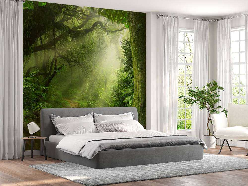 Jungel med solstråler