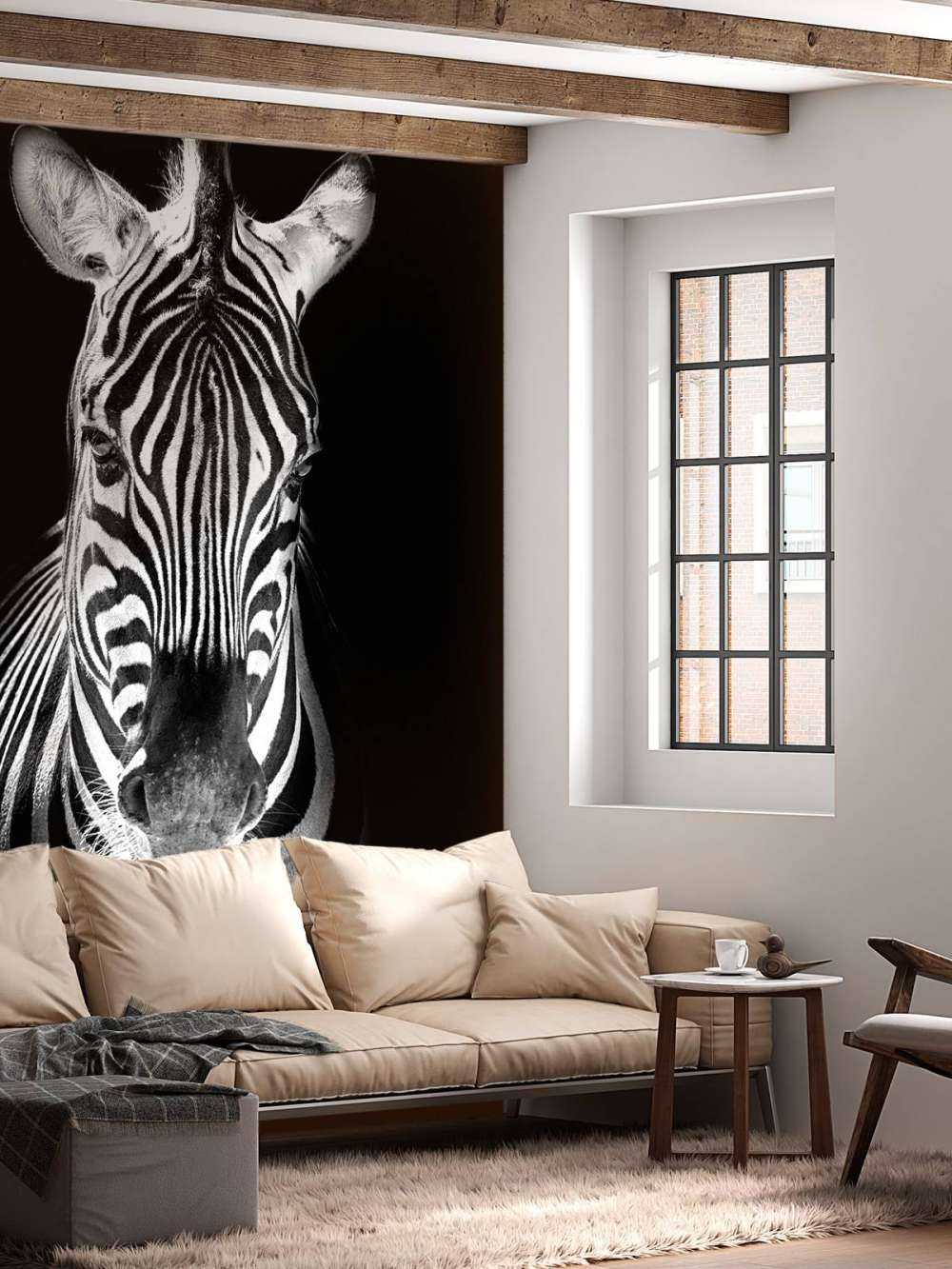 Nærbillede af zebra sort og hvid