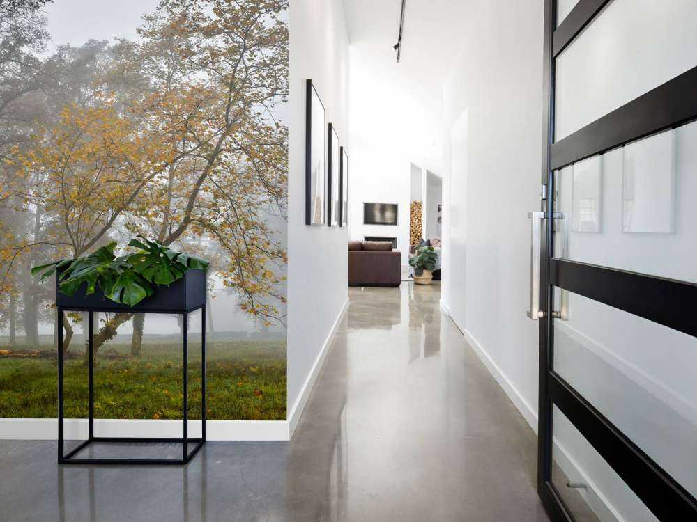 Græsmark med træer og tåge