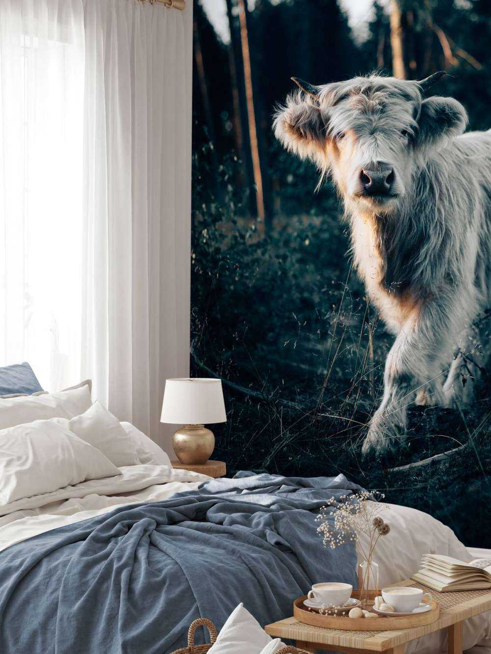 Skotsk highlander-unge