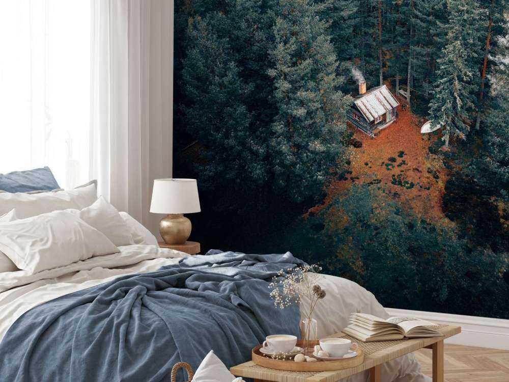 Hytte omgivet af skov og søer