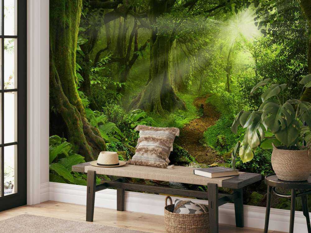 Tropisk jungle med sollys