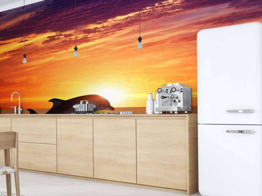 Delfiner i aftensolen