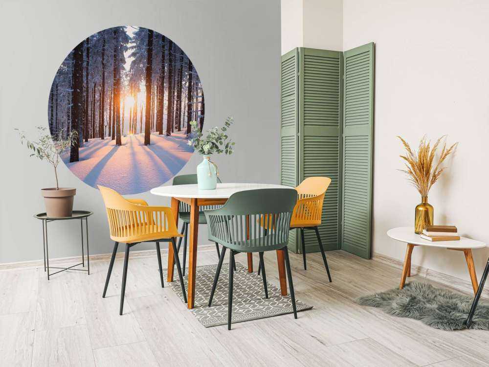 Solnedgang i en vinterskov