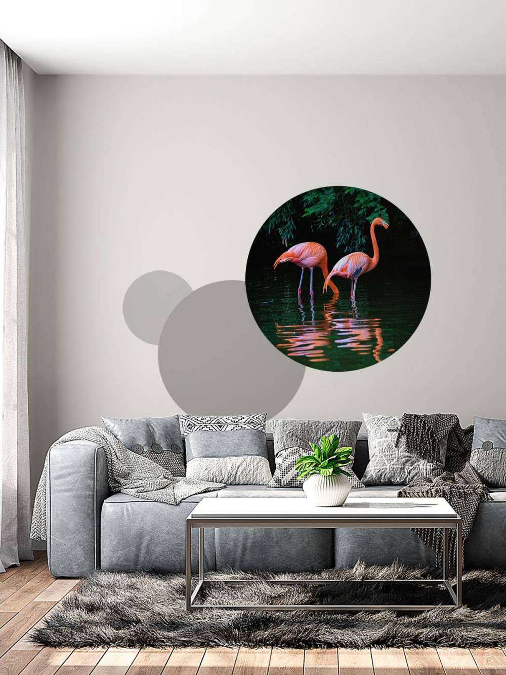 To bilibiske flamingoer