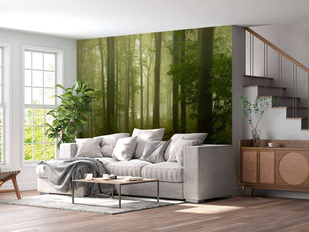 Sti gennem tåget grøn skov