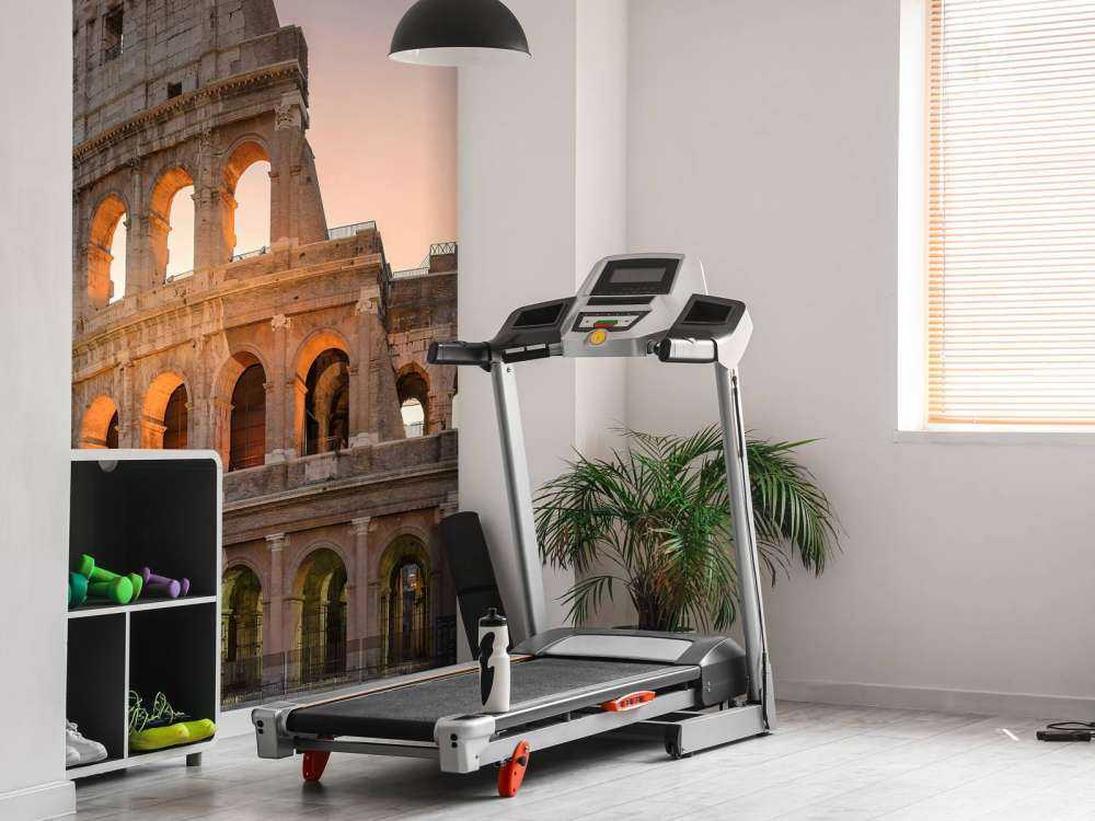 Colosseum ved solopgang