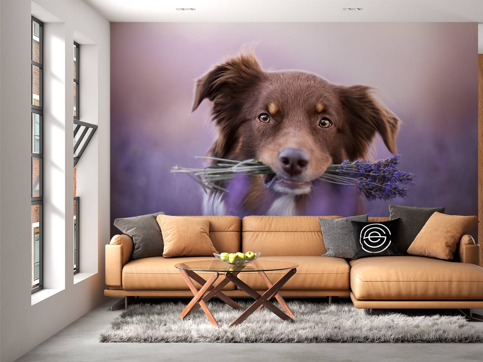Hund med lavendel