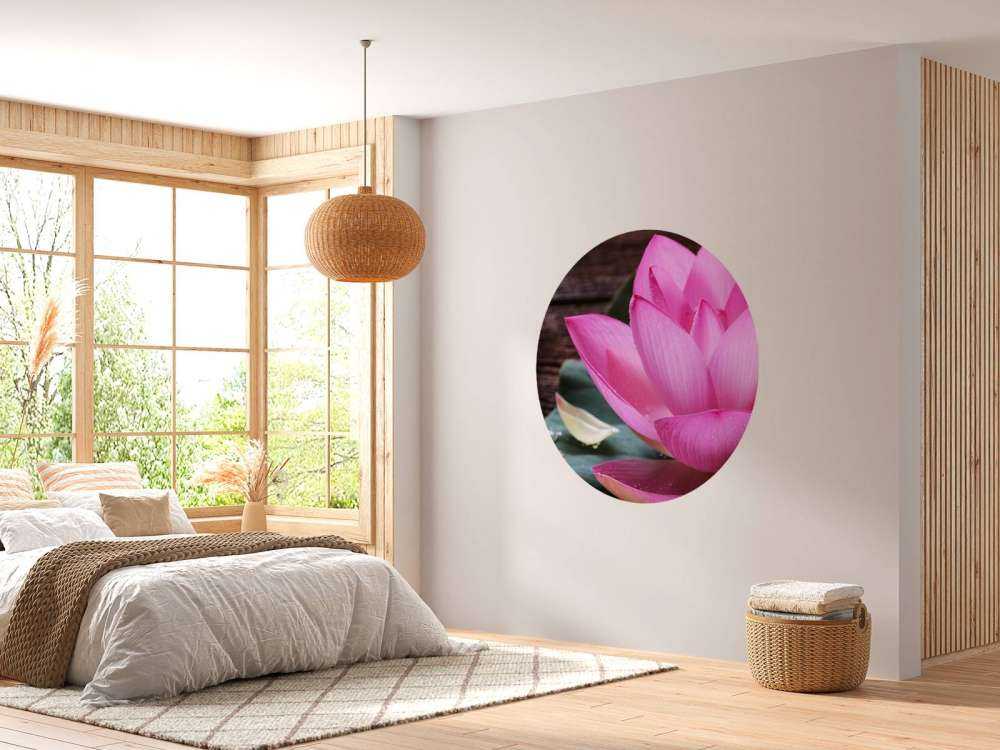 Nærbillede lyserød lotus