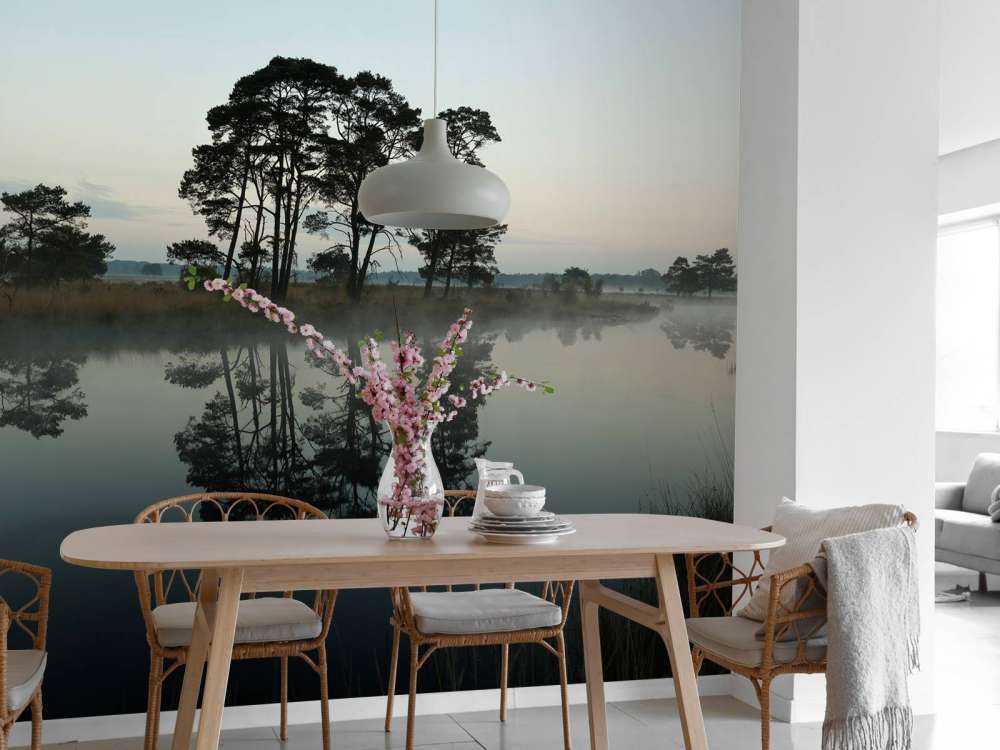 Træer langs skovområder