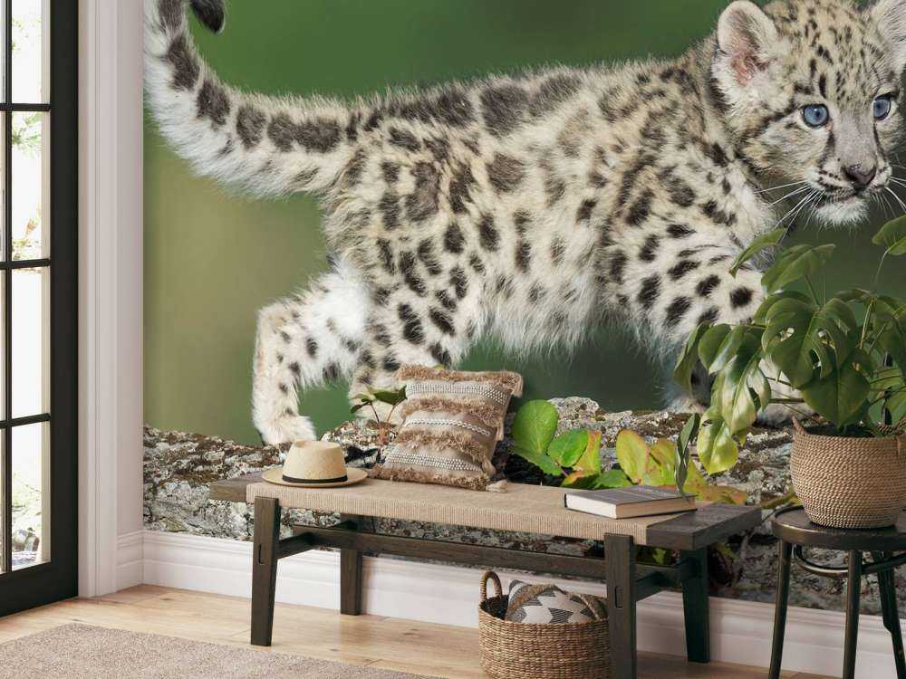 Sne leopard cub