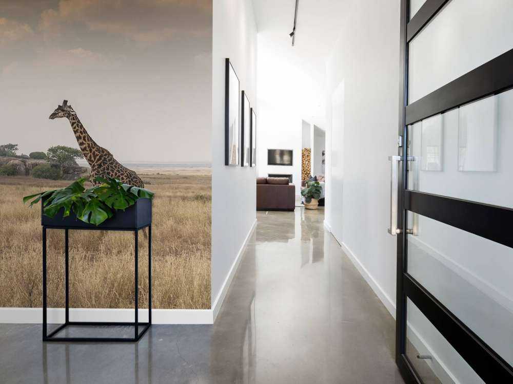 Giraffe på en savanne