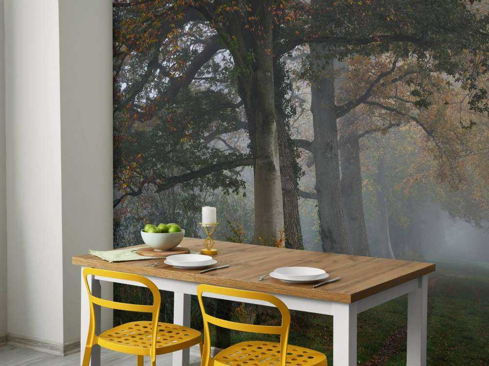 Lane med trær i tåken