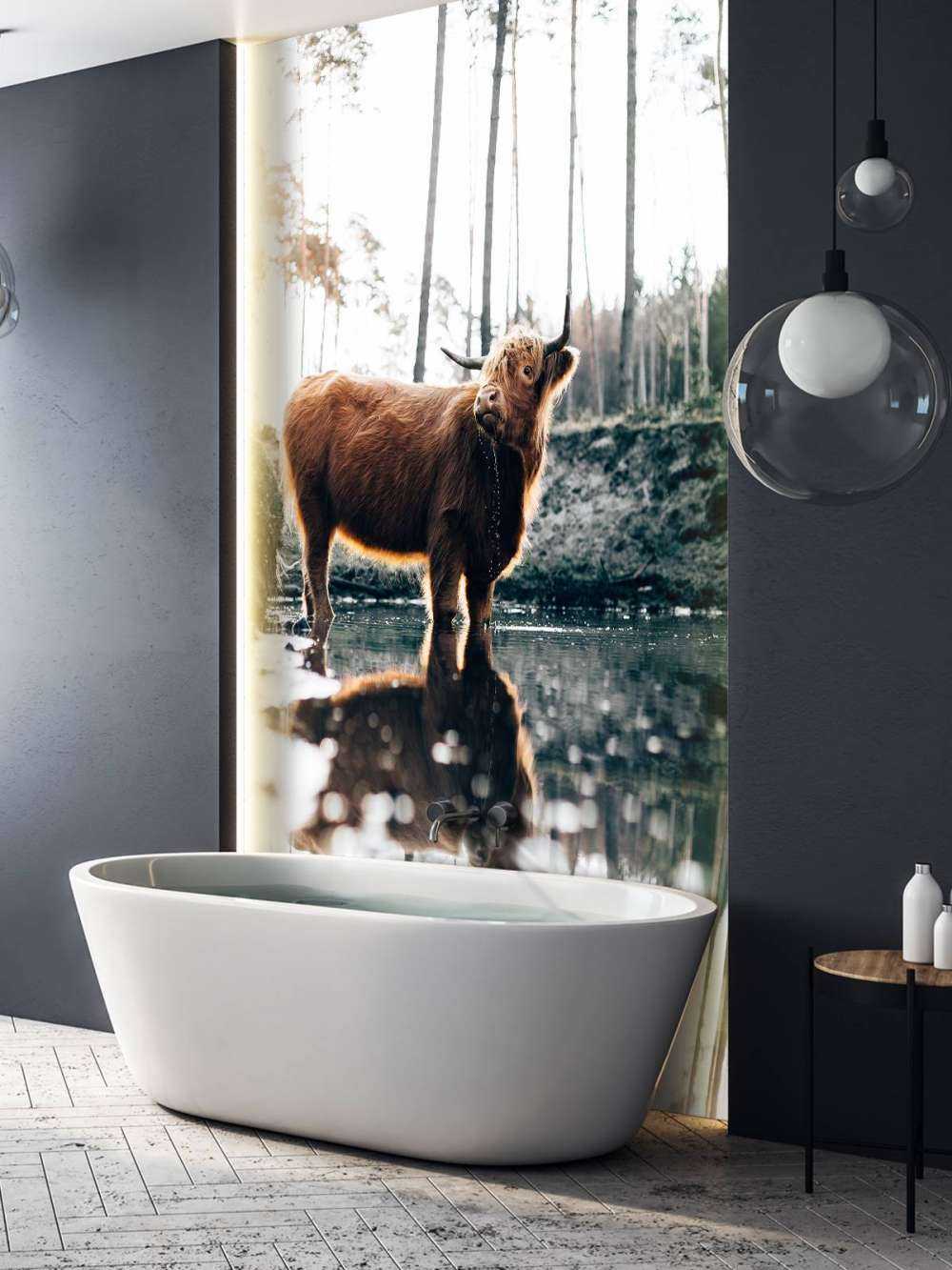 Skotsk høylander i vannet