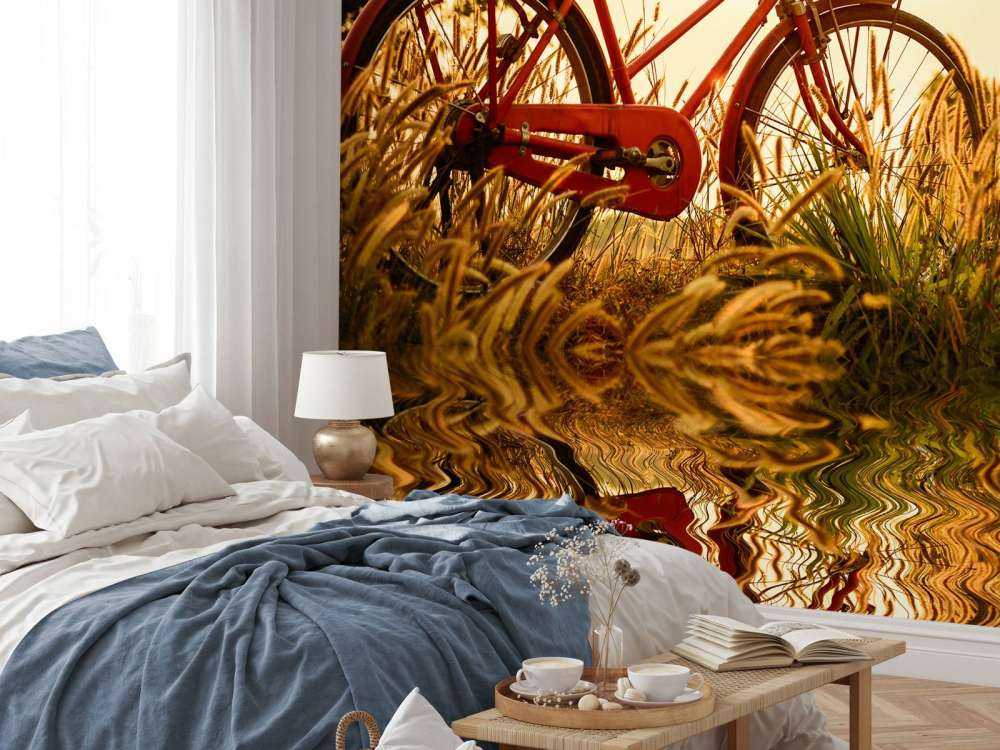 Sykkel ved solnedgang