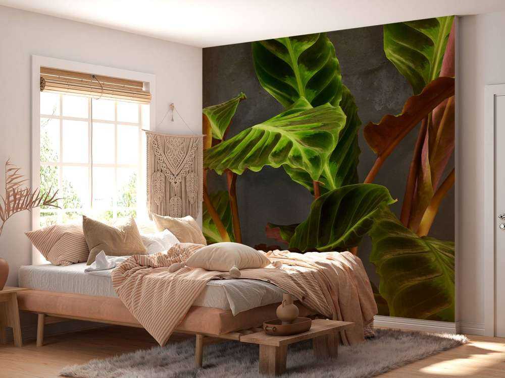 Plante med vakre grønne blader