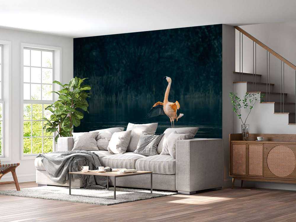 Flamingo i øde