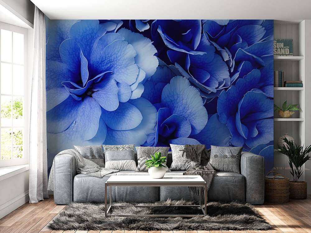 Nærbilde av blå hortensiaer