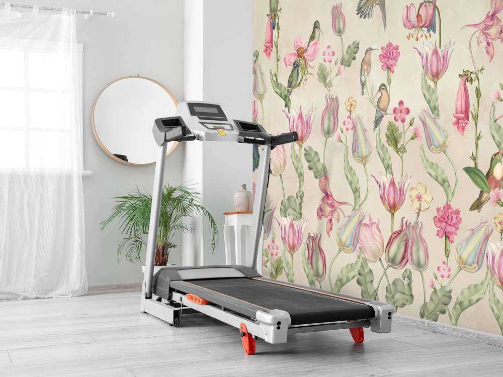 Kolibri Tulipansymfoni