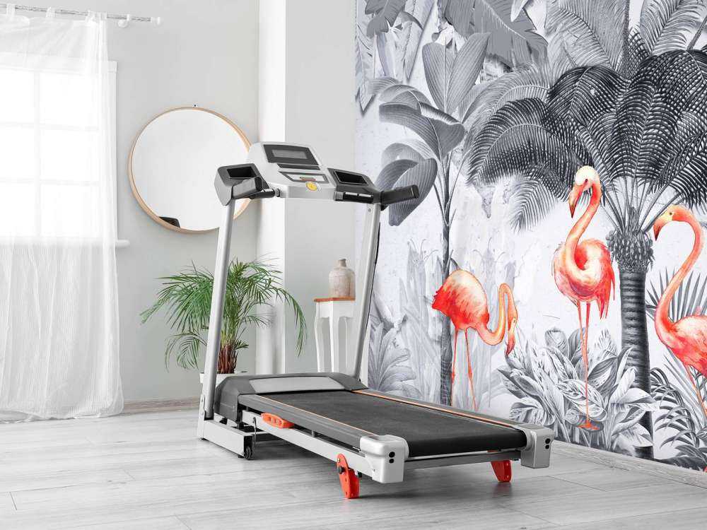 Jungel med flamingoer