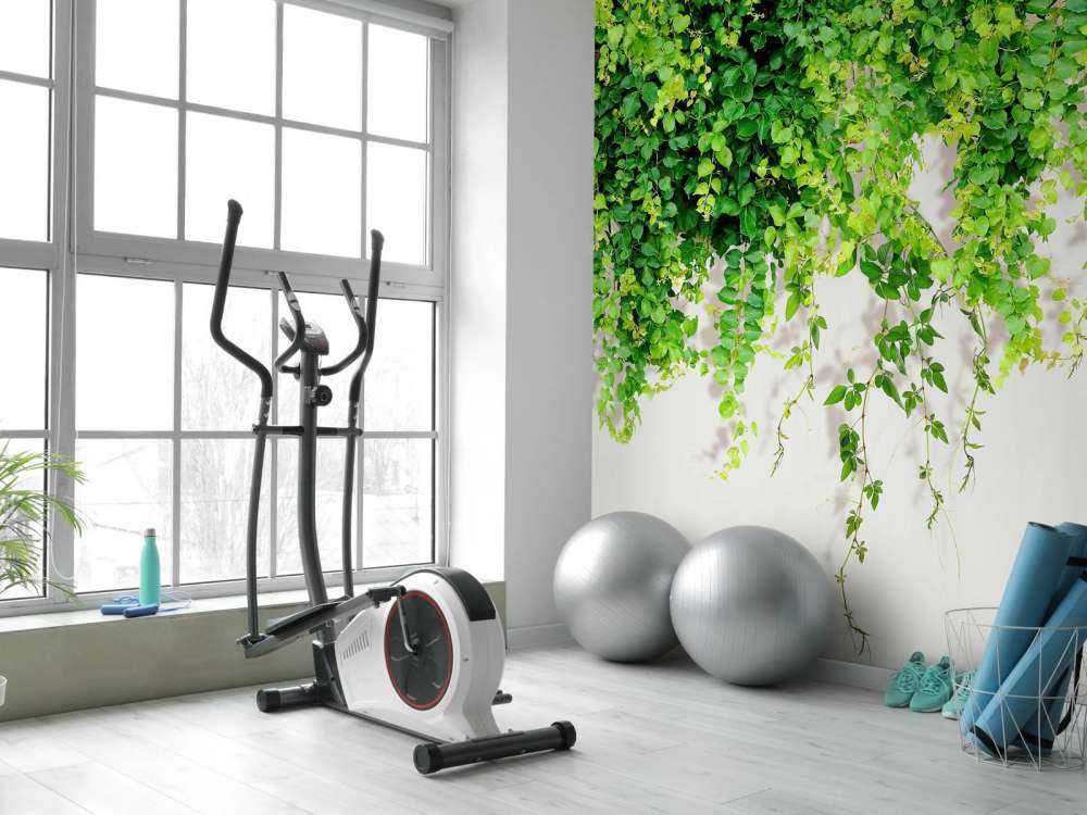 Grønne hengende grener