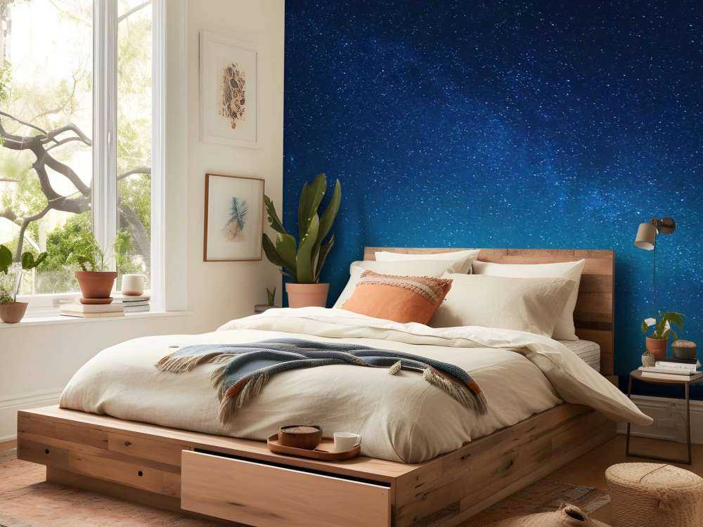 Stjernehimmel med nordlys