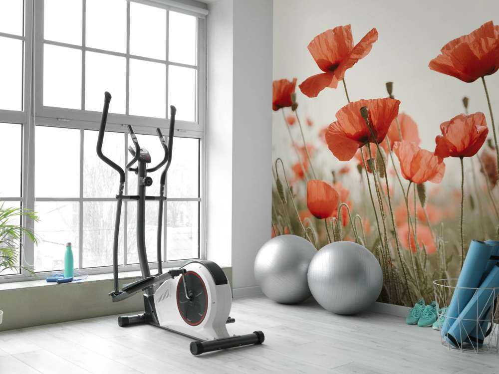 Valmuer i vintagefarger