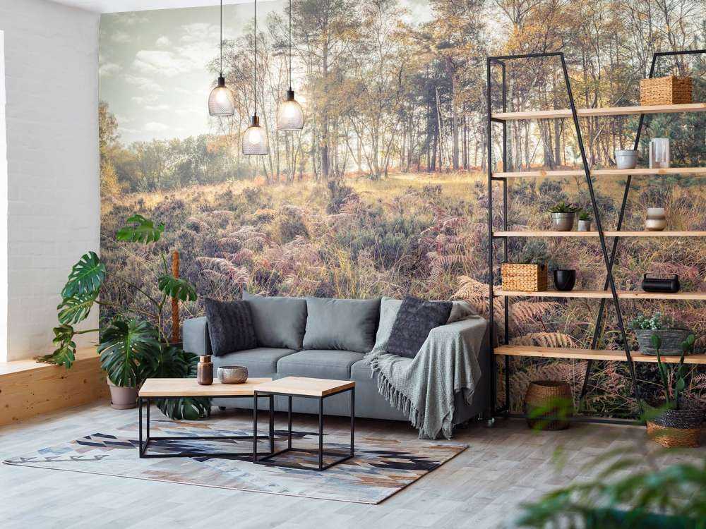 Skog om morgenen