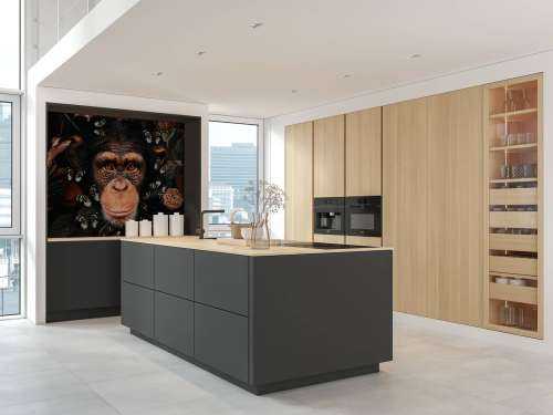 Tropical Chimpanzee