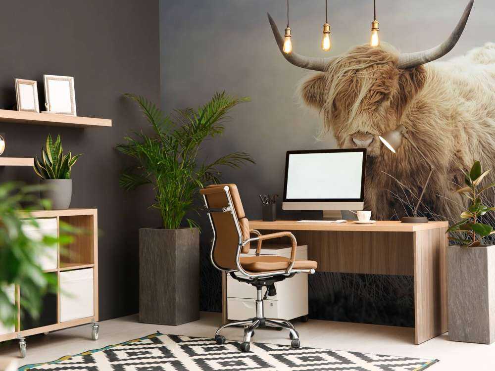 Det skotske høylandet i naturen