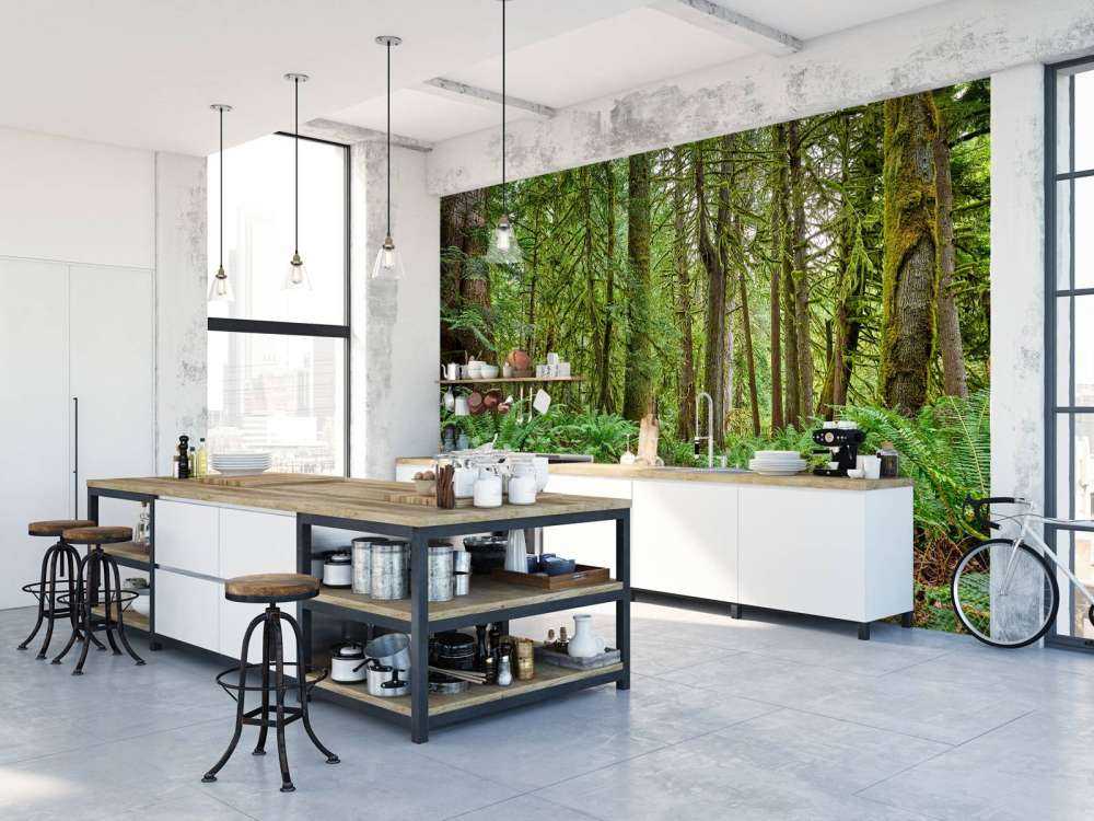 Sti med steiner gjennom skogen