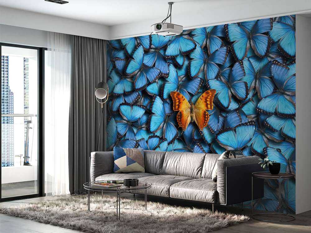 sommerfugl komposisjon