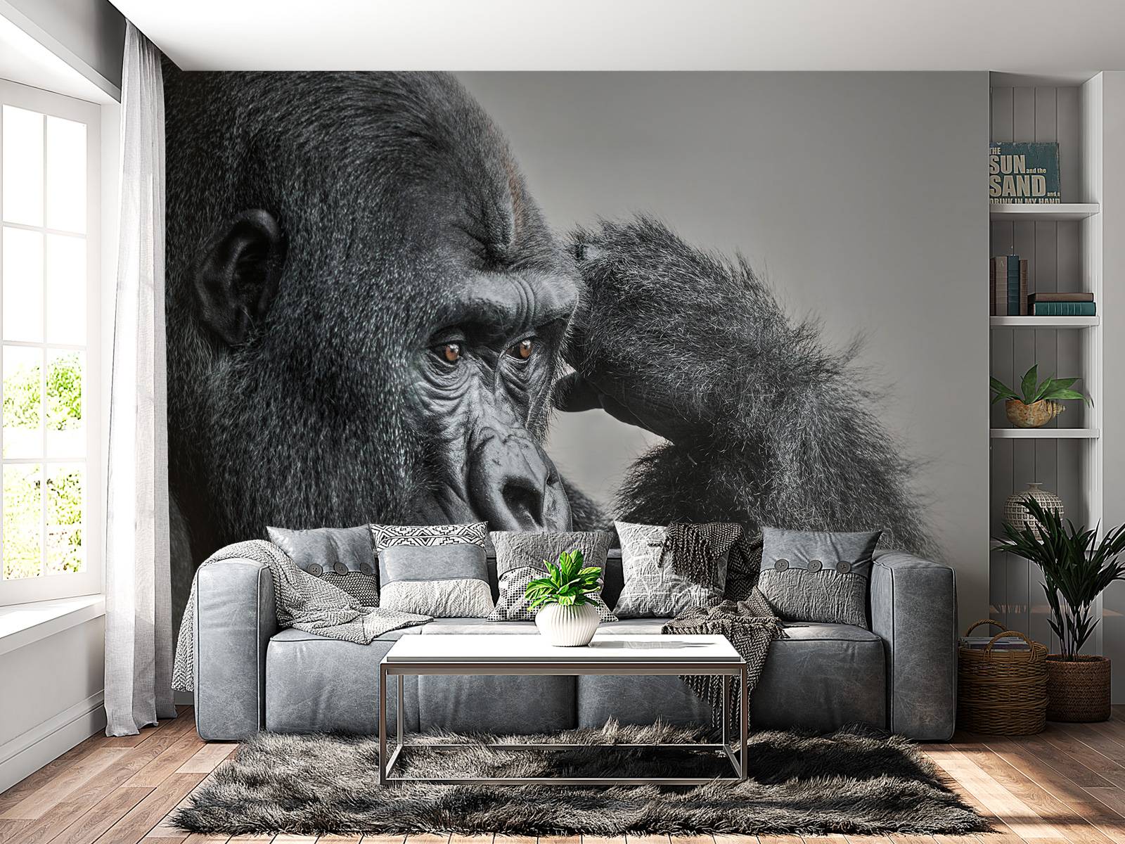 Gorilla svart og hvitt