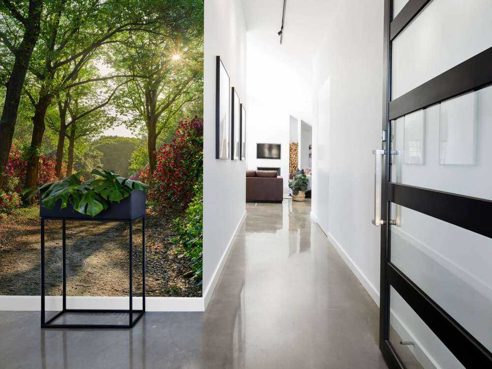 Soloppgang med sti med rododendroner