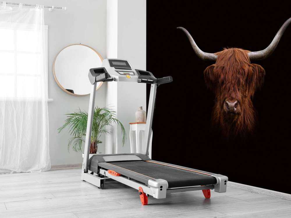 Det skotske høylandet på mørkt tapet