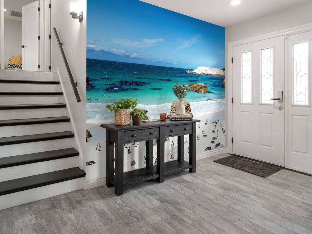 Strand med pingviner