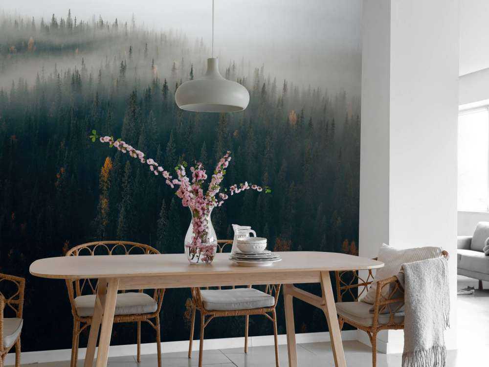 Dimma skog