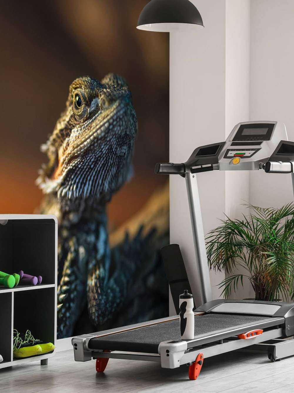 Närbild av kameleon