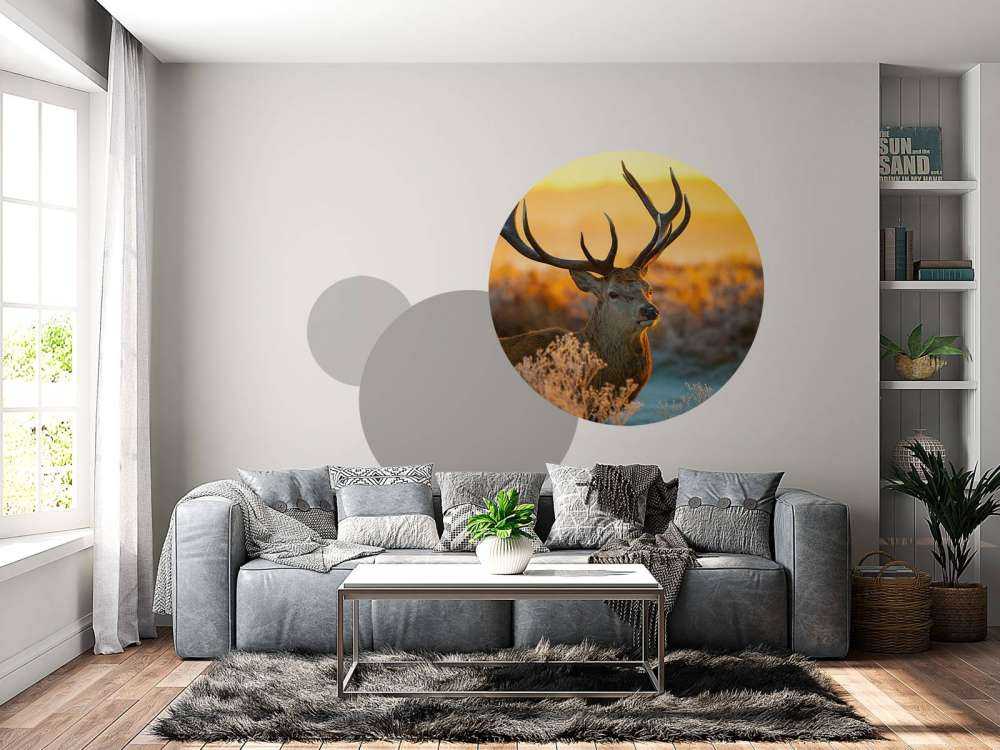 Rådjur i naturreservat