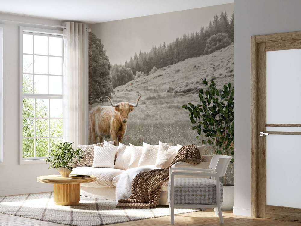 Skotsk highlander med kalv