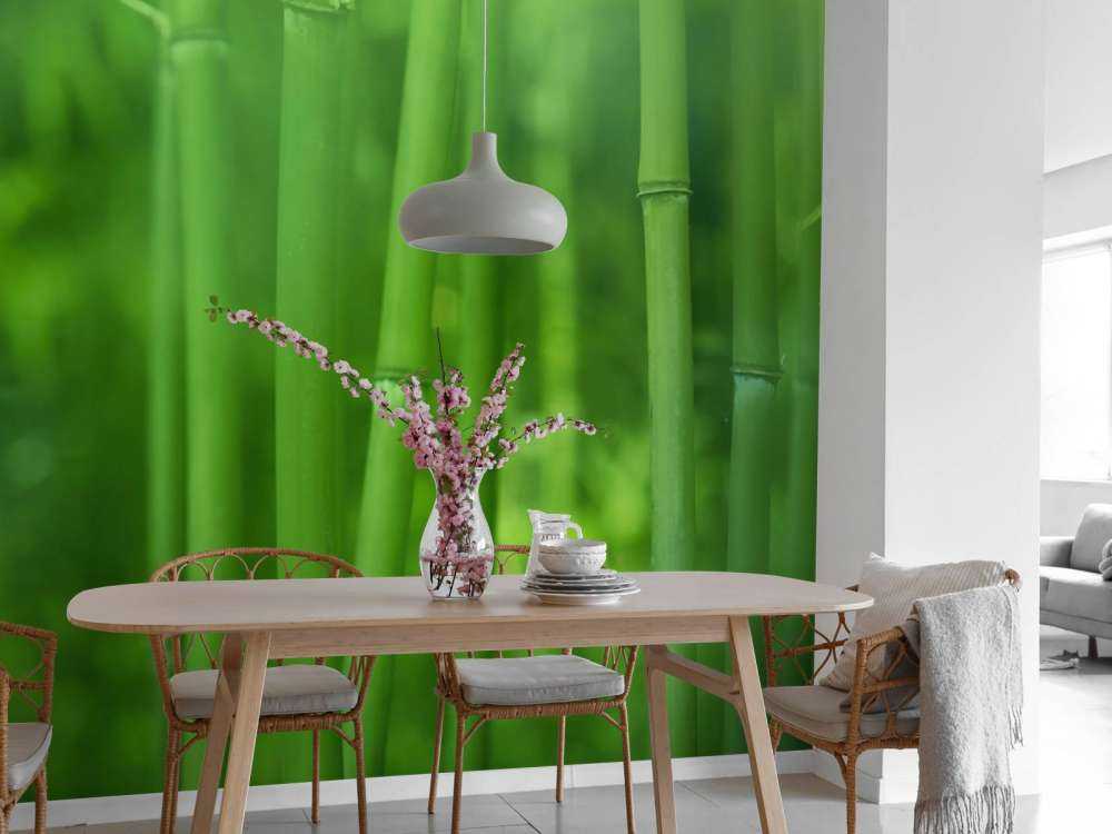 Bambu och blad
